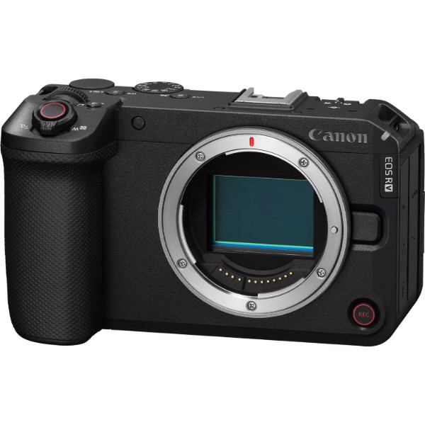 Фото - Фотокамера беззеркальная Canon EOS R6 V body (7250C020AA)
