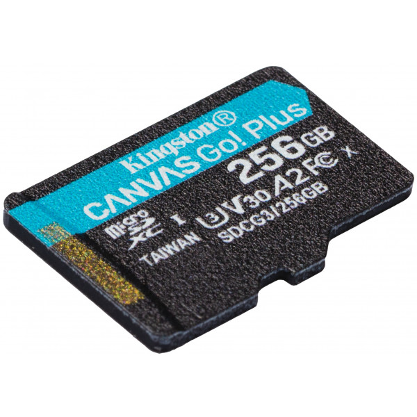 Фото - Карта пам'яті Kingston MicroSDXC 256GB Canvas Go Plus Сlass 10 A2 U3 V30 (SDCG3/256GBSP)