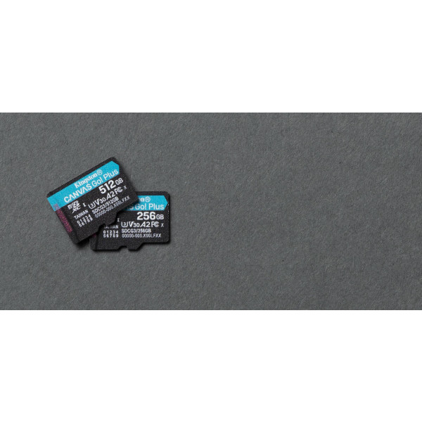Фото - Карта пам'яті Kingston MicroSDXC 256GB Canvas Go Plus Сlass 10 A2 U3 V30 (SDCG3/256GBSP)