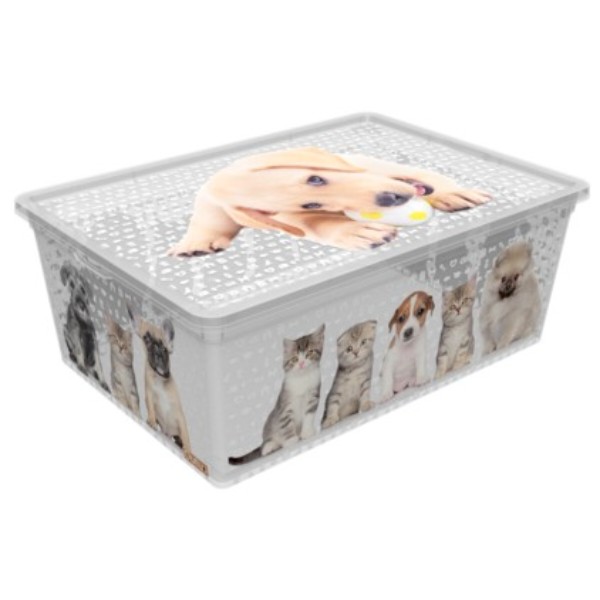 Фото - Короб для хранения Qutu Light Box с/к Cats and Dogs 10 л