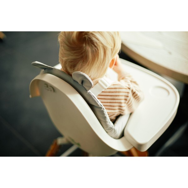 Фото - Вставка для стульчика для кормления Childhome Evolu Grey (CHEVOSCWCG)
