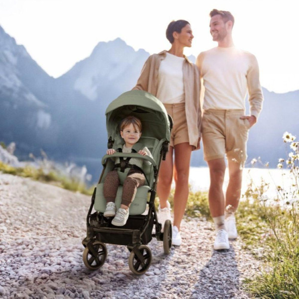 Фото - Коляска прогулочная Chicco Dolomiti Stroller цв.30 (87163.30)