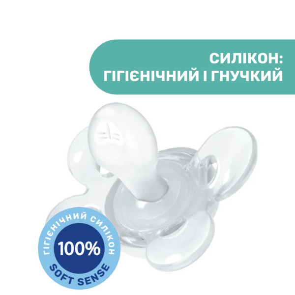 Фото - Ортодонтическая пустышка Chicco Physio Comfort 16-36 месяцев 2 шт. в аcсортименте (74935.41.00.00)