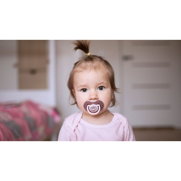 Фото - Симетрична пустушка Lovi Botanic Botanic для дівчинки силіконова 18 + міс., 2 шт. (22/875girl)