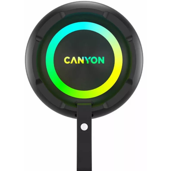 Фото - Портативна акустика Canyon OnMove 11 IPX6 TWS 20W EQ RGB Black (CNE-CBTSP11)