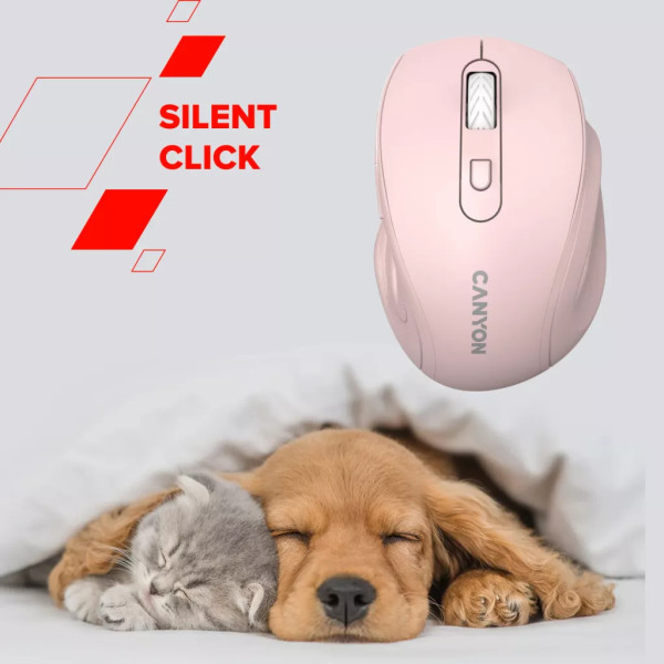 Фото - Миша бездротова Canyon OnClick 20 Wireless Ergonomic Silent White (CNE-CMSW20W)