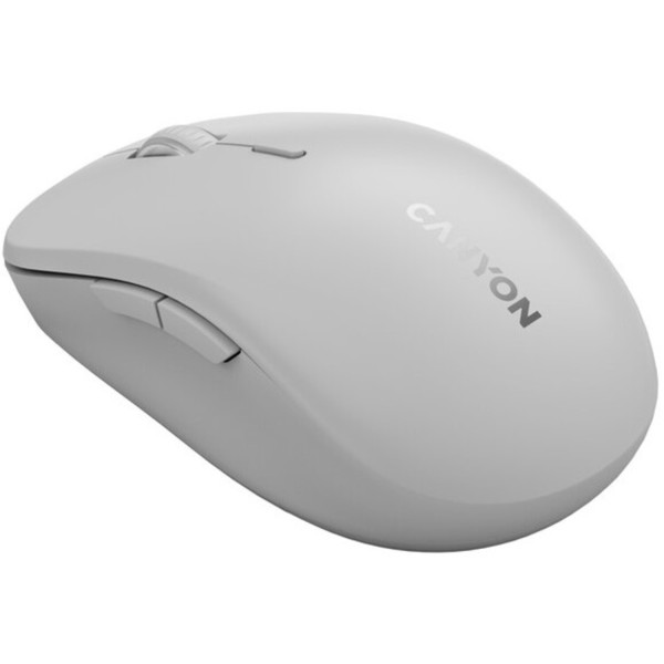 Фото - Мышь беспроводная Canyon MW-12 Silent Dual band Dark grey (CNS-CMSW12DG)