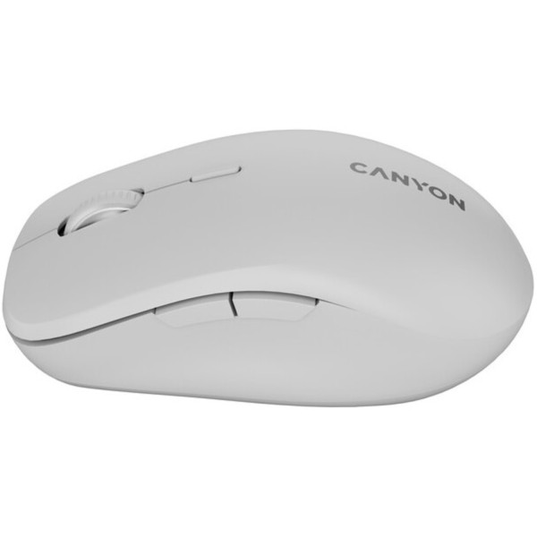 Фото - Мышь беспроводная Canyon MW-12 Silent Dual band Dark grey (CNS-CMSW12DG)