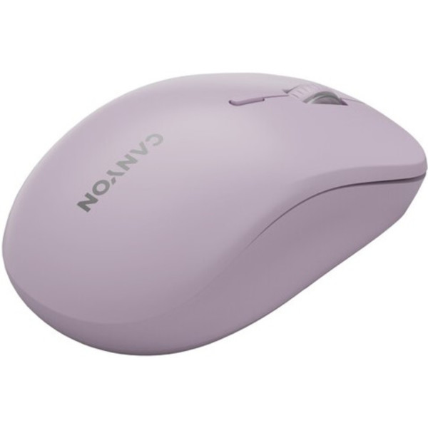 Фото - Мышь беспроводная Canyon MW-12 Silent Dual band Pink (CNS-CMSW12P)