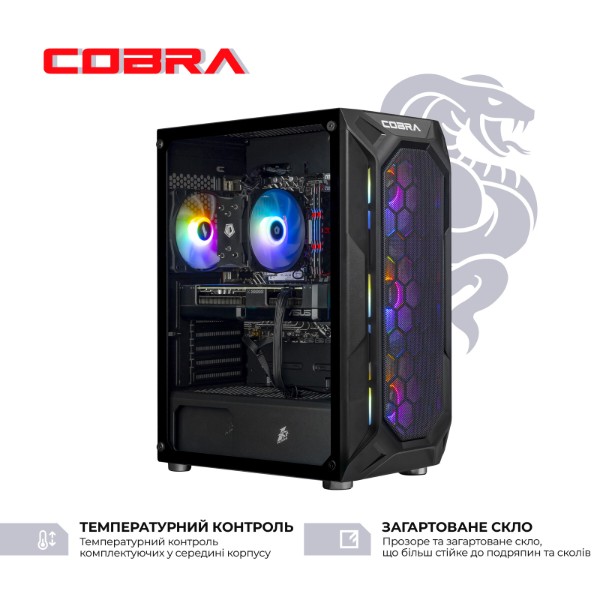 Фото - Системний блок Cobra Go RX 9060 / Ryzen 5 5500 / RAM 16GB / SSD 1TB / Win 11 (R5G23163)