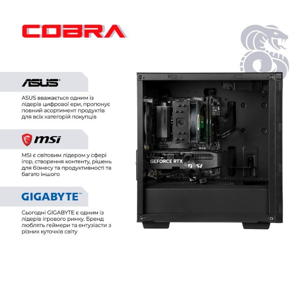 Фото - Системний блок Cobra Performance RTX 5060 / Ryzen 5 9600X / RAM 32GB / SSD 1TB (R5G23274)