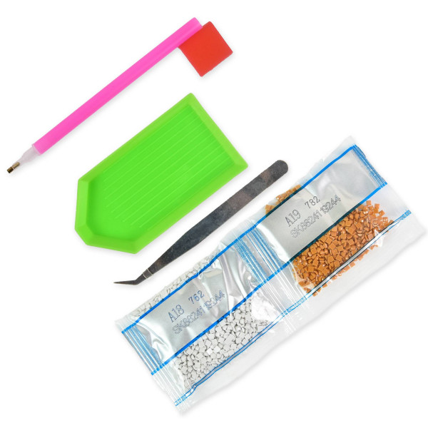 Фото - Алмазний живопис Strateg Плоди праці 40х50 см (SK88270)