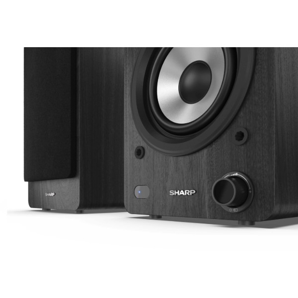 Фото - Комп'ютерна акустика компактна 2.0 Sharp CP-SS30(BK)