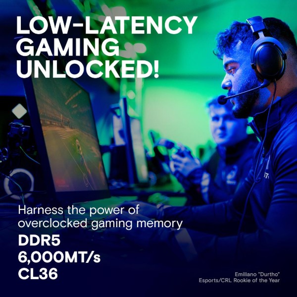 Фото - Пам'ять DDR Crucial Micron PRO 32GB DDR5-6000 KIT2 (CP2K16G60C36U5W)
