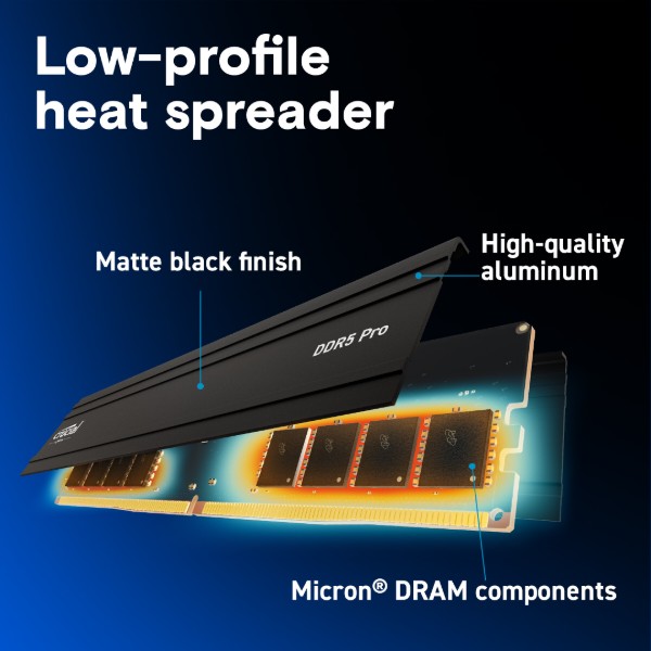 Фото - Пам'ять DDR Crucial Micron PRO 24GB DDR5-5600 (CP24G56C46U5)