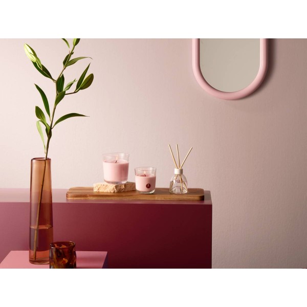 Фото - Свеча стекло Bolsius TRUE SCENTS 97/85 Магнолия (940304)