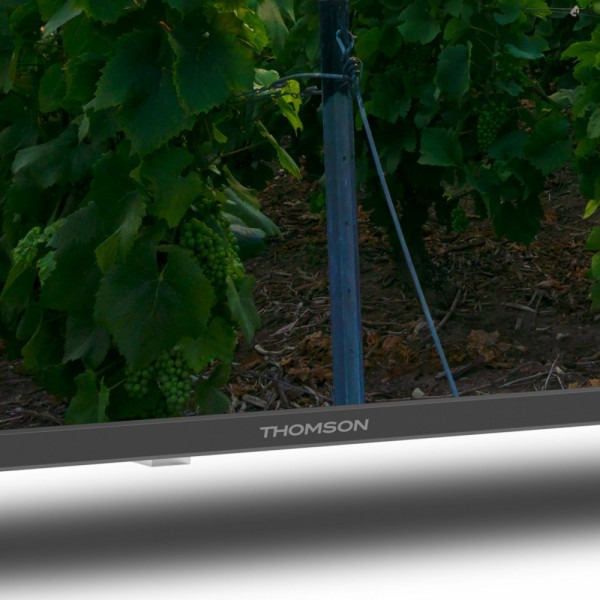 Фото - Телевизор Thomson 43QA2S13