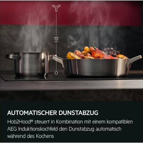 Фото - Вытяжка декоративная AEG NDB6791HB