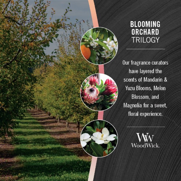 Фото - Свеча стекло Woodwick Large Trilogy Blooming Orchard (Цветущий фруктовый сад) 609г (1728632E)