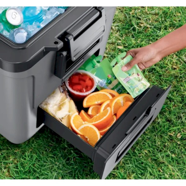 Фото - Термобокс Ninja FrostVault 28L Hard Coole (FB230EUGY)