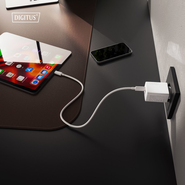 Фото - Сетевое зарядное устройство Digitus GaN 1хUSB-C 1хUSB-A 30W (DA-10301)