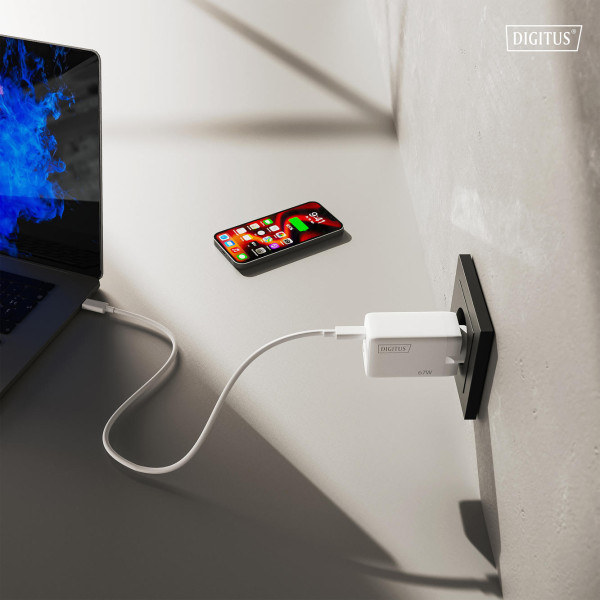 Фото - Мережевий зарядний пристрій Digitus GaN 2хUSB-C 1хUSB-A 67W (DA-10303)