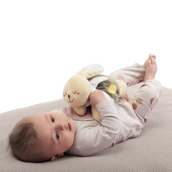 Фото - М'яка іграшка Chicco грілка Тепле зайченя серії My Sweet Dou Dou (12161.00)