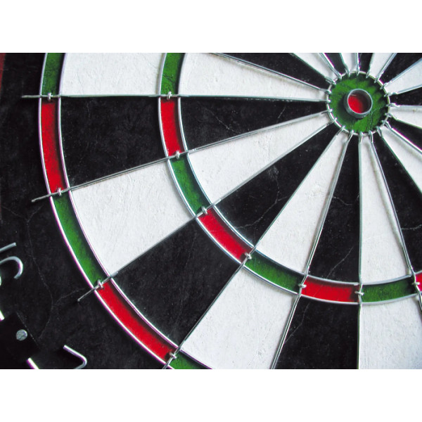 Фото - Дартс Equinox Aries (DA-11)