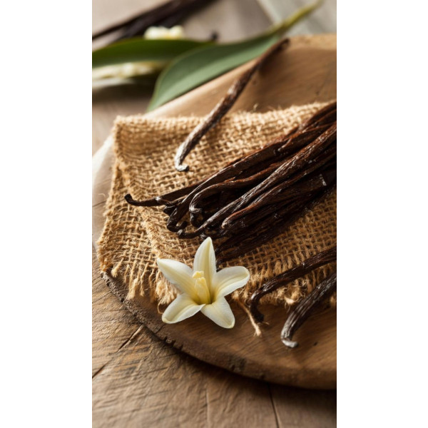 Фото - Свічка скло Woodwick Medium Vanilla Bean (Ванільні боби) 275г (92112E)