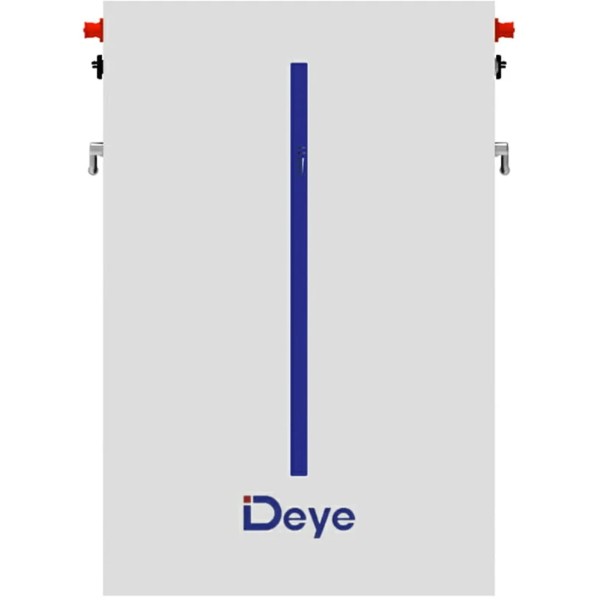 Фото - Батарея для сонячного інвертора Deye LiFePO4 51,2V 120Ah 6,14kWh (RW-M6.1)