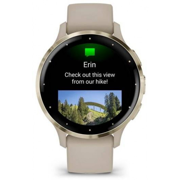 Фото - Смарт-часы Garmin Venu 3S French Gray + Soft Gold (010-02785-02)