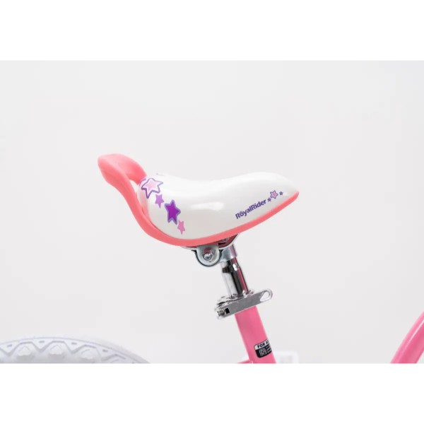 Фото - Двоколісний велосипед RoyalBaby STARGIRL 25.16-01 
Pink
