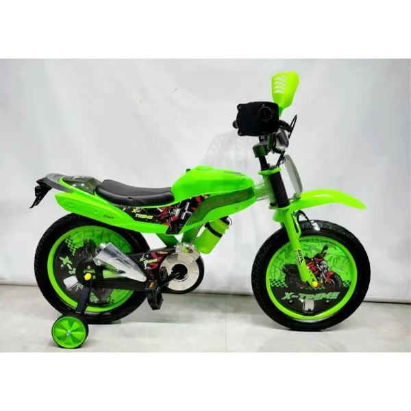Фото - Двухколёсный велосипед X-Treme RIDER 25.16-03 Green