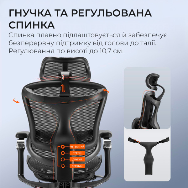 Фото - Кресло офисное Sihoo DORO C300 Pro Mesh Black (DORO-C300-PRO-M101)