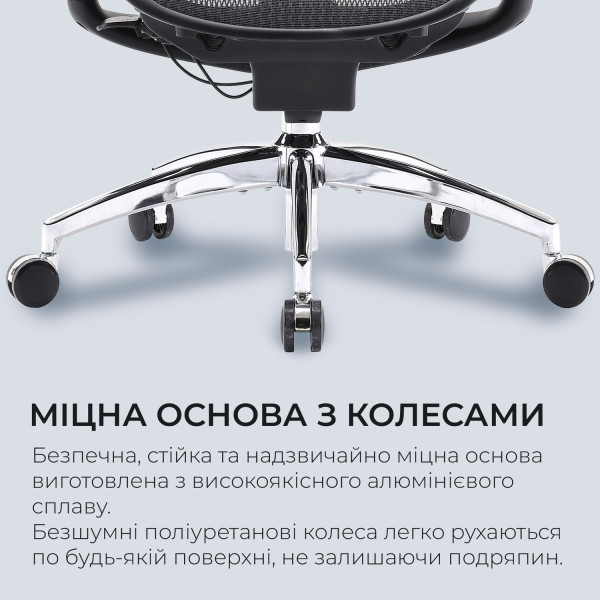 Фото - Кресло офисное Sihoo DORO C300 Pro Mesh Black (DORO-C300-PRO-M101)