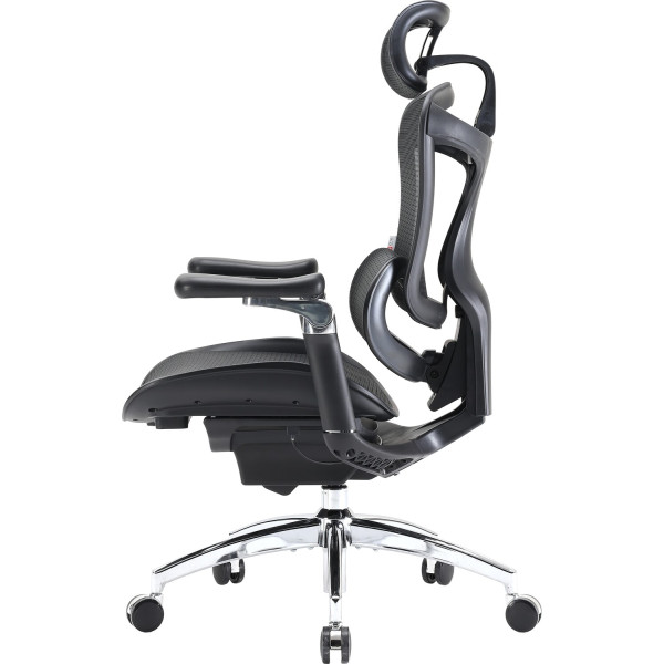 Фото - Кресло офисное Sihoo DORO C300 Pro Mesh Black (DORO-C300-PRO-M101)