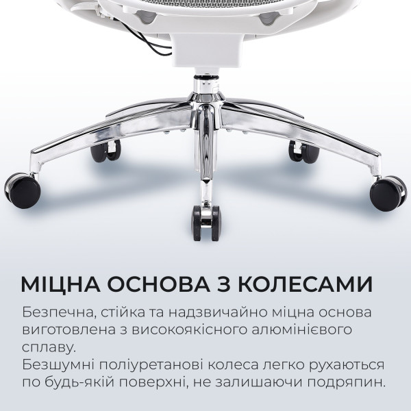 Фото - Кресло офисное Sihoo DORO C300 Pro Mesh White (DORO-C300-PRO-M102)