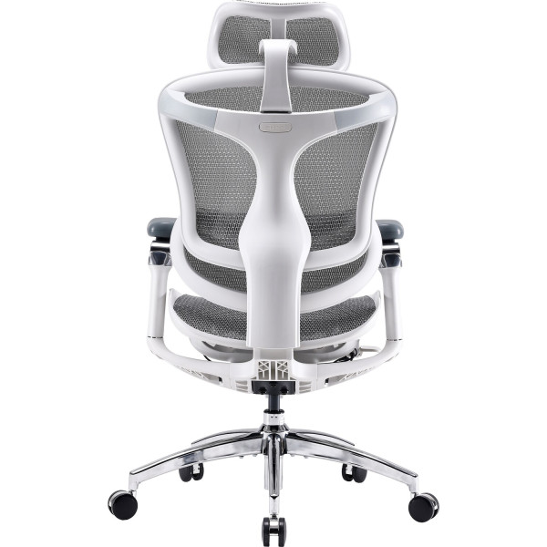 Фото - Кресло офисное Sihoo DORO C300 Pro Mesh White (DORO-C300-PRO-M102)