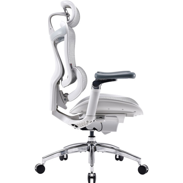 Фото - Кресло офисное Sihoo DORO C300 Pro Mesh White (DORO-C300-PRO-M102)