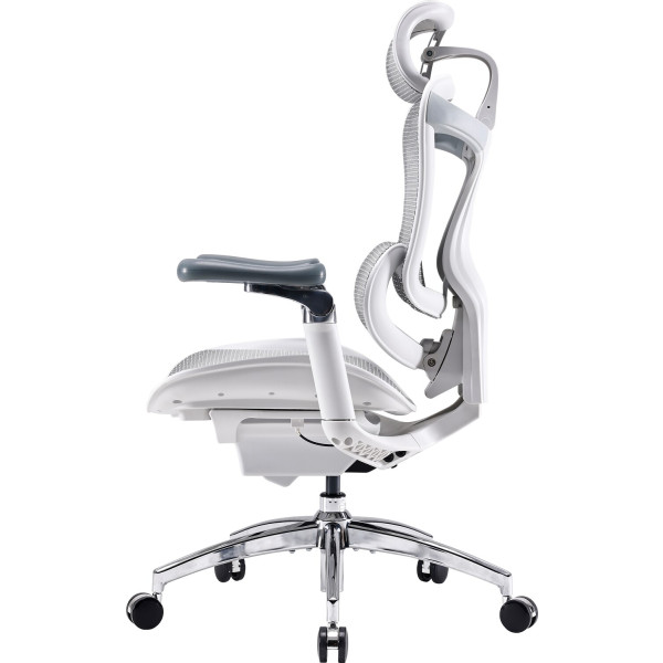 Фото - Кресло офисное Sihoo DORO C300 Pro Mesh White (DORO-C300-PRO-M102)