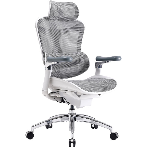 Фото - Кресло офисное Sihoo DORO C300 Pro Mesh White (DORO-C300-PRO-M102)