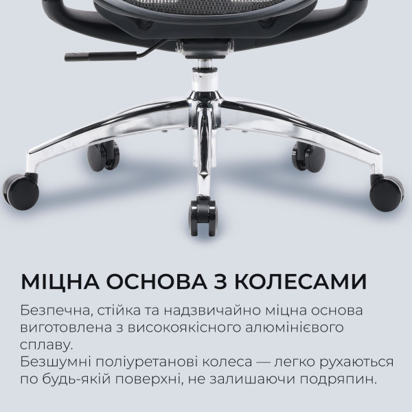 Фото - Кресло офисное Sihoo DORO C300L Mesh Black (DORO-C300L-A3-101)