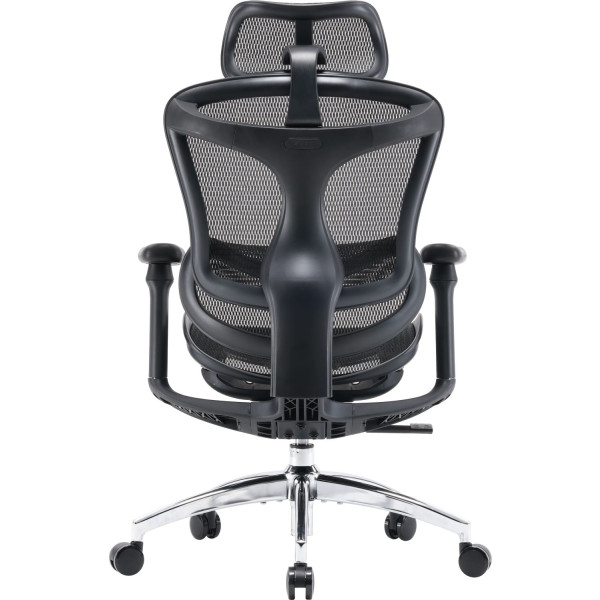 Фото - Кресло офисное Sihoo DORO C300L Mesh Black (DORO-C300L-A3-101)