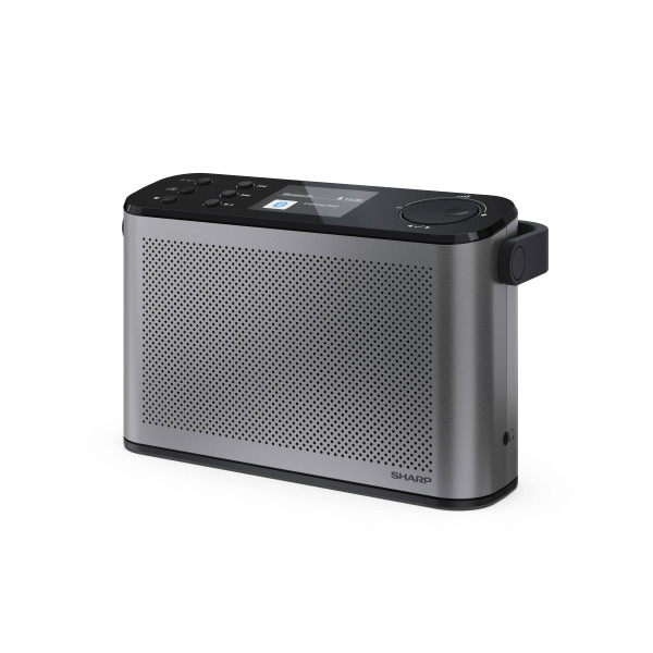 Фото - Радиоприемник Sharp DR-P540(GY)