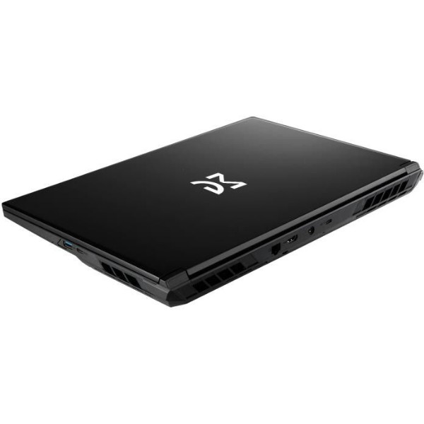 Фото - Ноутбук игровой Dream Machines RG5070-17 (RG5070-17UA30) Black