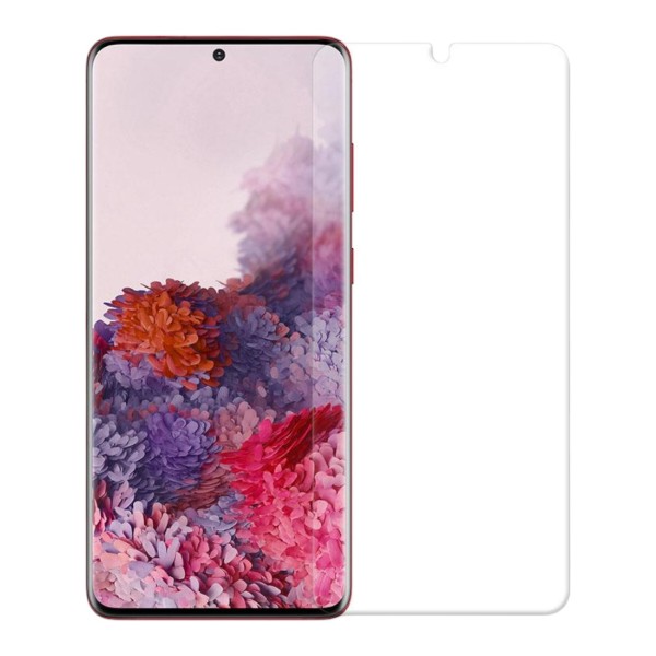 Фото - Захисна плівка для смартфону DEVIA під чохол for Premium Samsung Galaxy S20+ (DV-GDRP-SMS-S20+M)