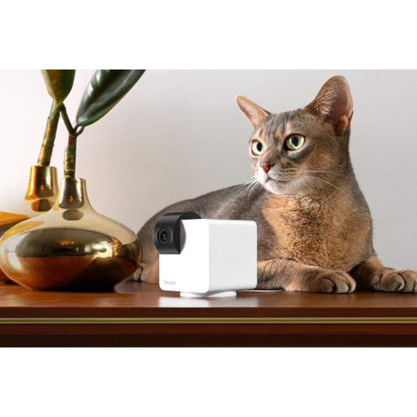 Фото - Интерактивные игрушки для животных PetCube Cam 360 (P36010US)