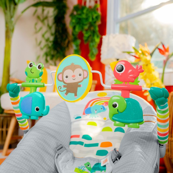 Фото - Кресло-шезлонг Bright Starts Playful Paradise (13070)