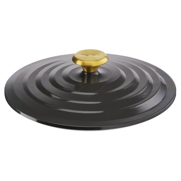 Фото - Кастрюля Tefal E2554604 AIR 24 см, 4.7 л
