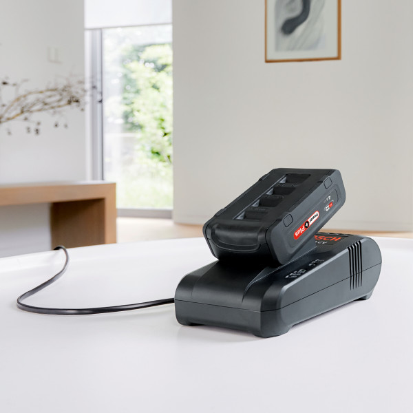 Фото - Пилосос ручний для дому Bosch BSS8224